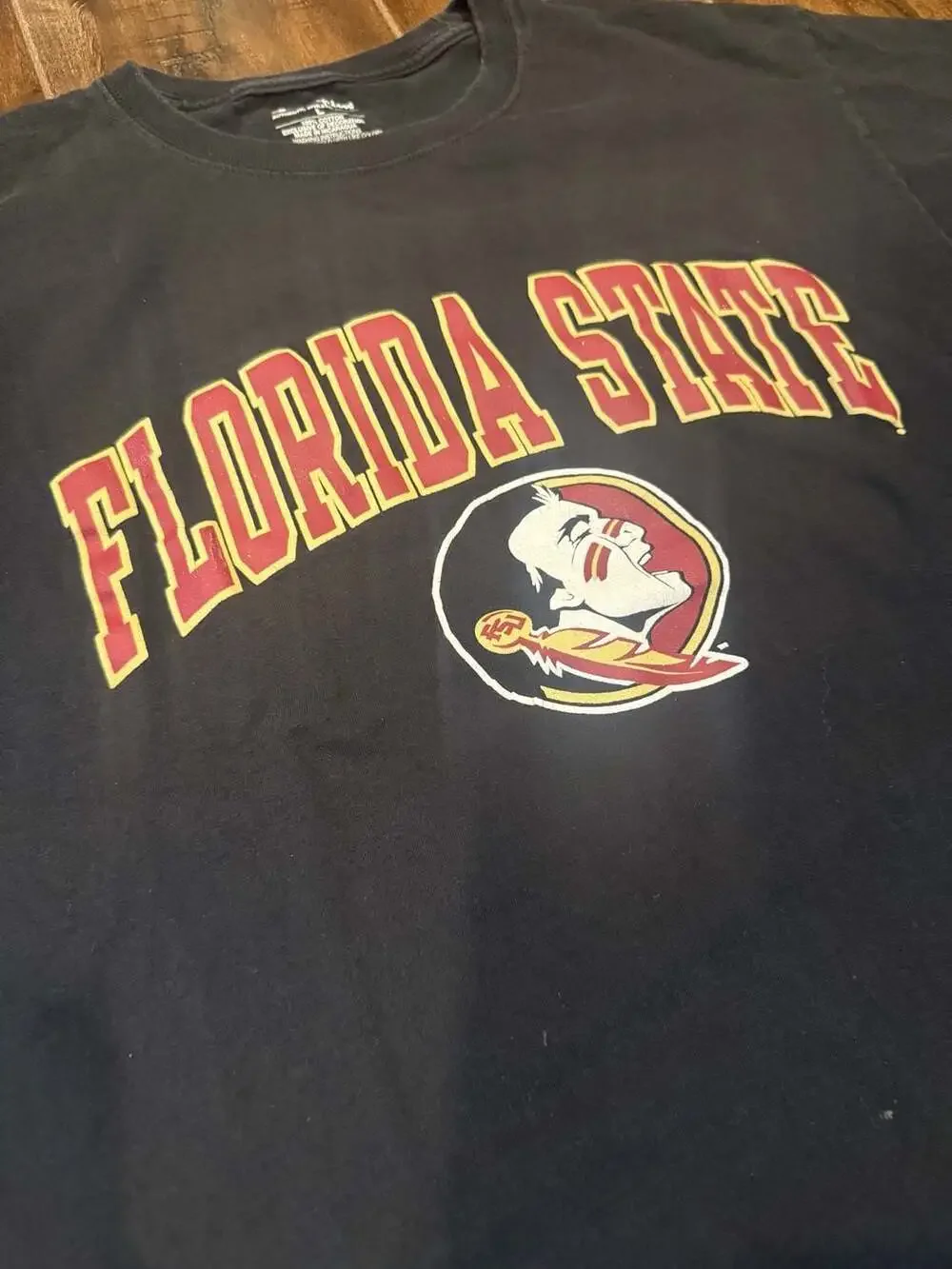 Champion Florida State University FSU Seminoles Graphic T-Shirt - Picture 3 of 6